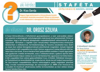 Staféta: Információ kézről kézre