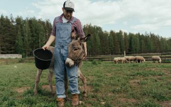 Figyelem! Hamarosan lejár a 2023. évi egységes kérelmek módosítási és törlési határideje