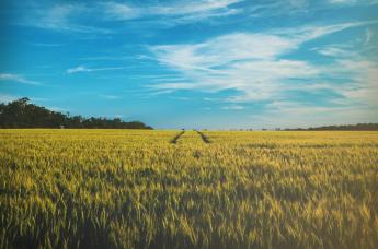 Március 5-től elérhető az új elektronikus Gazdálkodási Napló