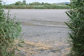 Kritikus a hazai halgazdaságok helyzete