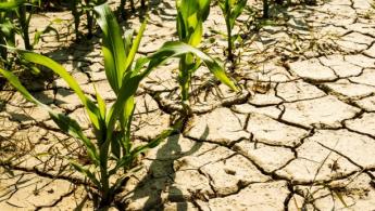 Szeptember 15-ig kell befizetni a kárenyhítési hozzájárulást!