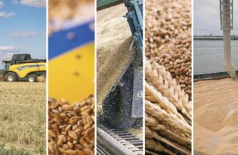 Kettős szorításban van a takarmányágazat