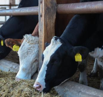 Az átmeneti időszakban újabb 1500 milliárd forint juthat vidékfejlesztésre