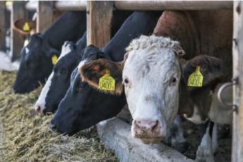 NAGYOBB ÁLLATTARTÓI FELELŐSSÉGVÁLLALÁST KÖVETEL AZ ÚJ KÁRTALANÍTÁSI RENDELET