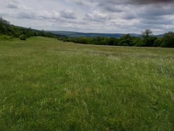 Szívügyük a gyepgazdálkodás