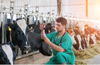 HATÁLYBA LÉPETT A MÓDOSÍTOTT 148-AS RENDELET: MEGNÉZTÜK MIT HOZ ÉS MIT VISZ