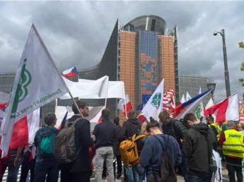 Gazdatüntetés Brüsszelben