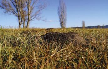 Készülődés az idei gyepgazdálkodási szezonra