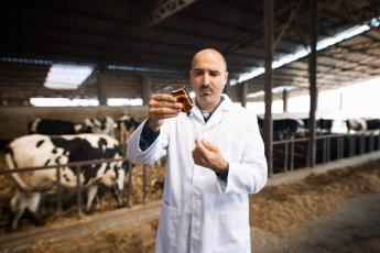 Élelmiszer-termelő állatok számára antibiotikumot kizárólag hatósági engedéllyel rendelkező állatorvos írhat fel 2024 január 1-től