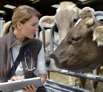 Így néz ki eddig az idei év az állattenyésztők szemével