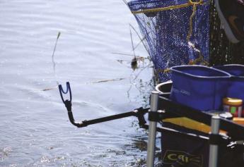 Ha nem lesz baj, jó szezont várnak