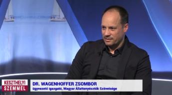 Keszthelyi Televízió - Ragadós száj- és körömfájás – fellélegezhetünk?